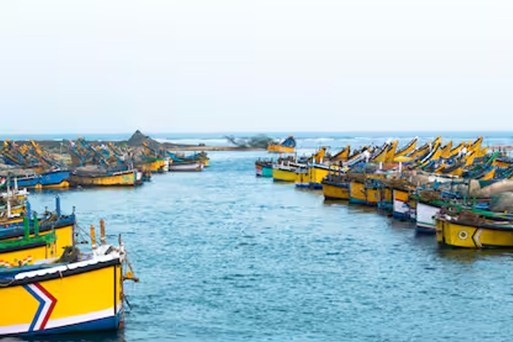 Road-Connectivity-Kakinada_01